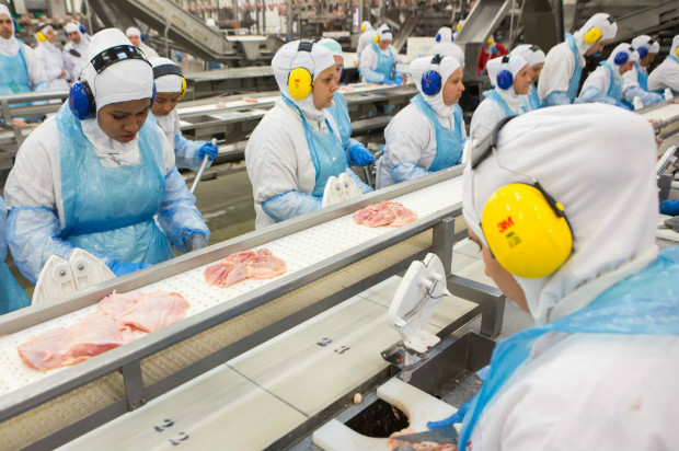 Exportação de carne de aves está se normalizando, diz ABPA