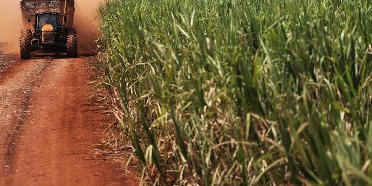 Seca acende alerta para safras de cana e café do Brasil em 2019