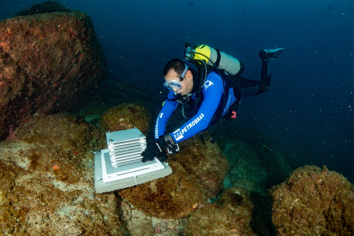 Ecossistema marinho da região será monitorado