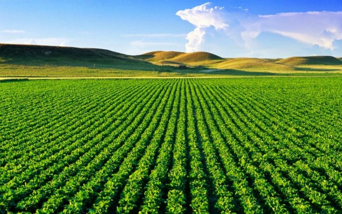 Projeções para o agronegócio