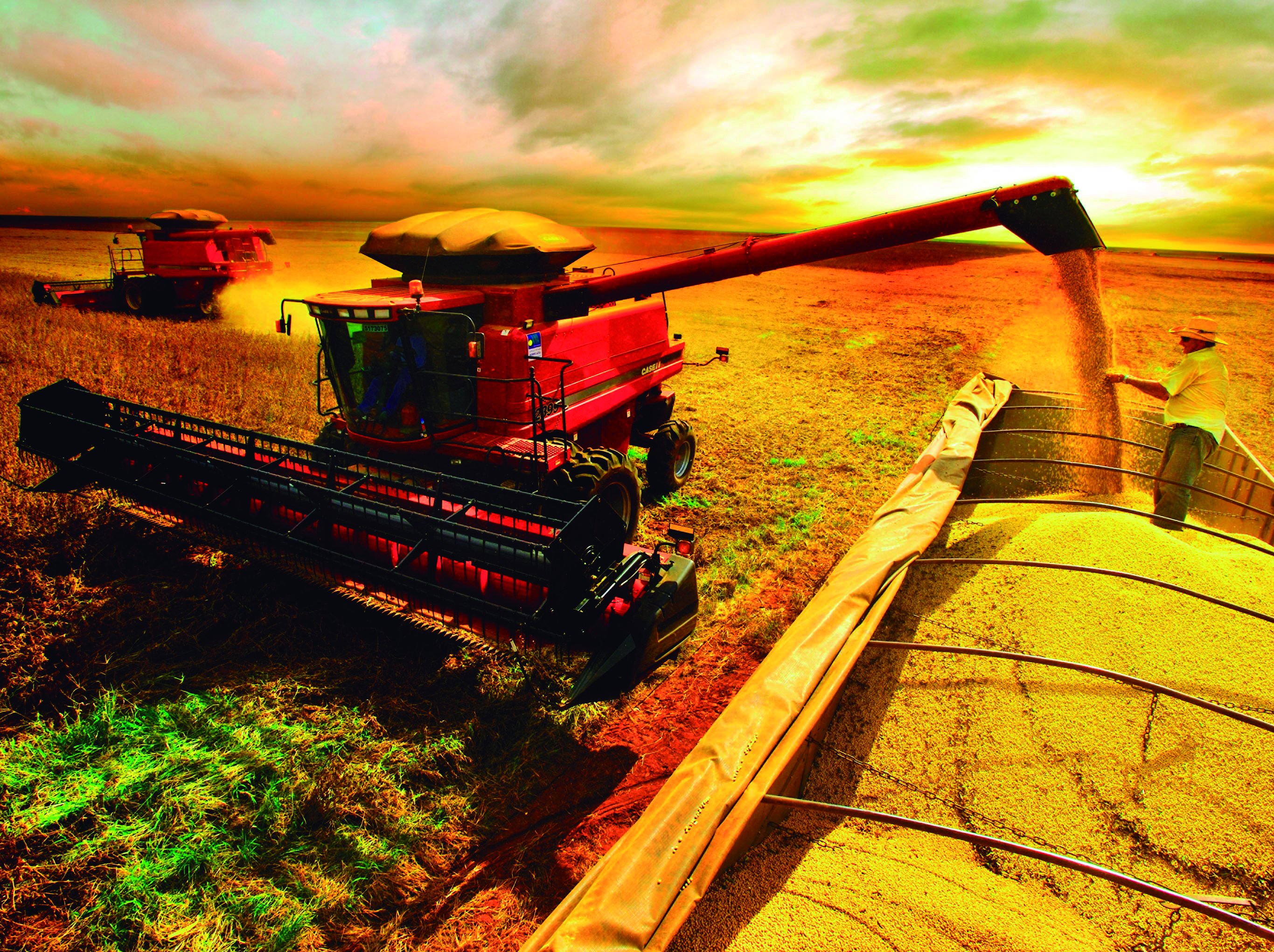 Produção agropecuária brasileira deve expandir 69% em 10 anos
