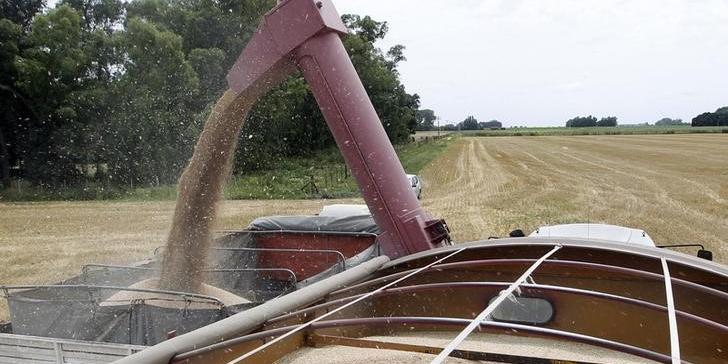 Alguns exportadores de grãos avaliam parar por alta do frete; custo sobe US$5 bi por ano