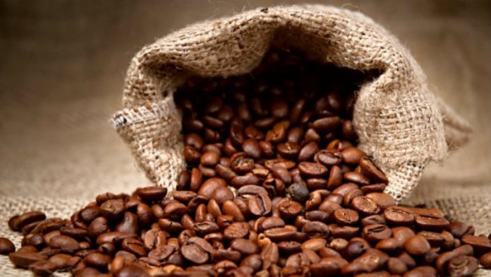 Café: no mês de agosto foram exportadas 2,256 milhoes de sacas de café