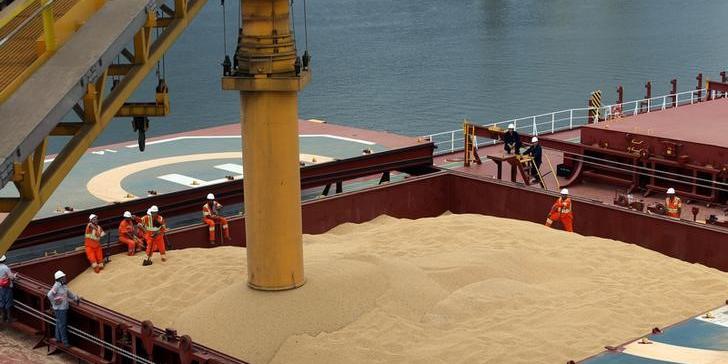 Surto de peste suína deve limitar importações de soja pela China