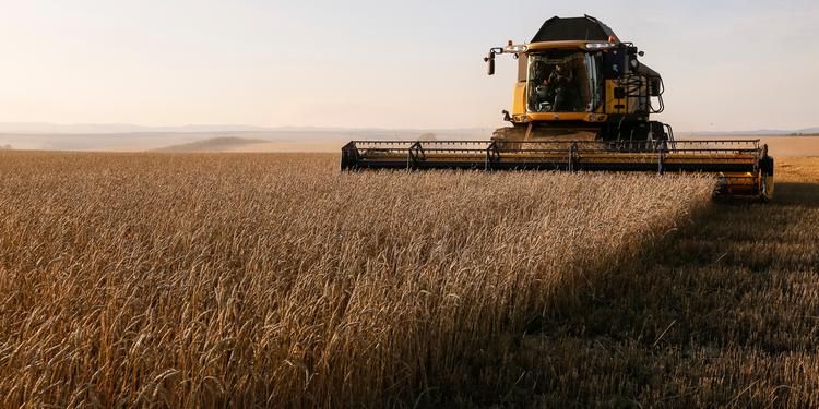 Bunge vê aumento da importação de trigo pelo Brasil em 2019 após quebra de safra