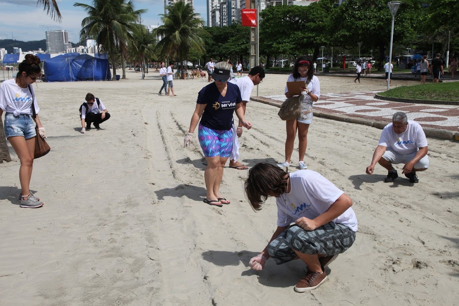 Verão em Santos terá ações de limpeza e educação na praia