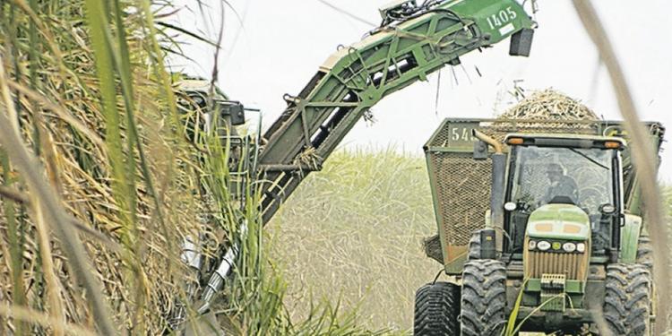 Bunge investe R$ 7 mi em centro para manutenção de colhedoras de cana no Brasil