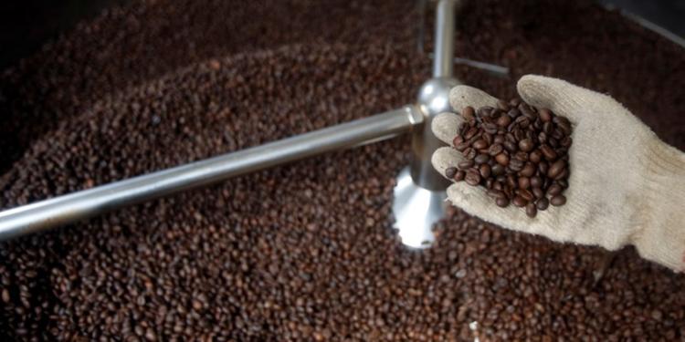 Safra de café do Brasil cresce 37% em 2018 e soma recorde superior a 61 mi sacas