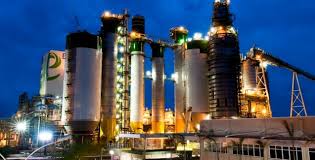 País produz 21 milhões de tonelada de celulose
