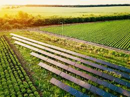 Exportação do agronegócio do Brasil tem recorde de US$101,7 bi em 2018 com China, diz governo