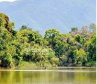 Seminário sobre meio ambiente