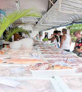 Obra na Ponta da Praia divide opiniões