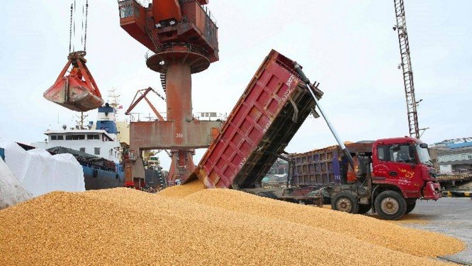 Importações chinesas de soja do Brasil aumentam 126%