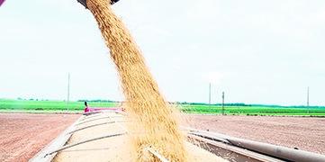 Conab prevê avanço de 2,8% da safra