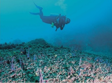 Um tesouro de 5 mil anos na costa de Itanhaém