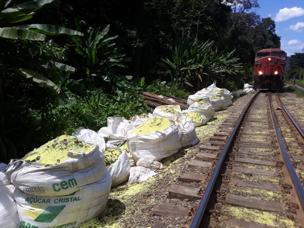 Mais de 1100 toneladas de enxofre se espalham por parque ambiental em SP