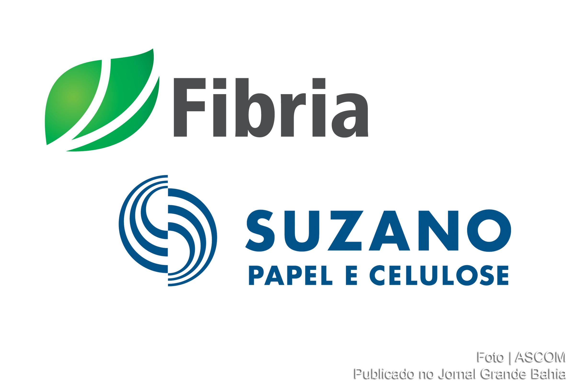 Após a fusão com a Fibria, Suzano já planeja os próximos passos 