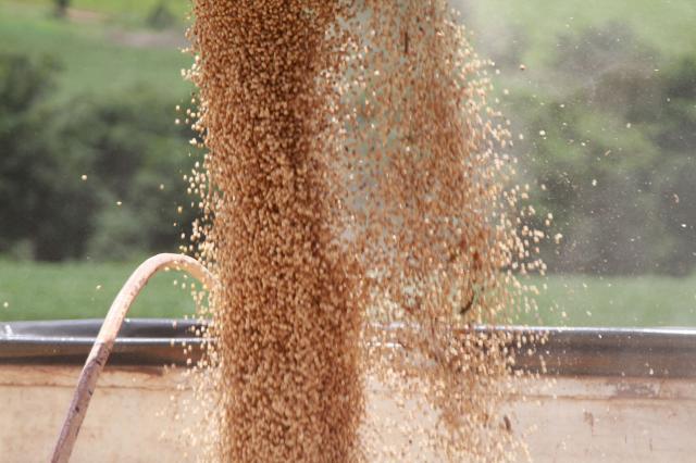 Preços da soja sobem no mercado brasileiro no mês de março