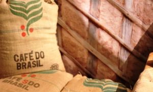 EUA importam 18,2% do total de sacas de café exportadas no primeiro trimestre de 2019