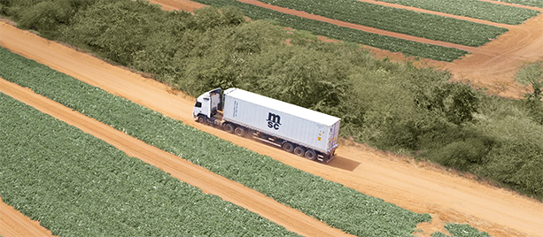 MSC tem novas rotas a partir do Brasil e lança portal de sua subsidiária Medlog