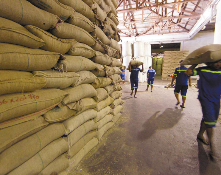 Exportações de café aumentam 30%