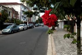 Avenida do Jabaquara, em Santos, recebe pavimentação a partir de quinta-feira