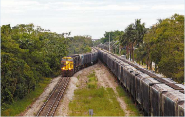 Mercado Regional