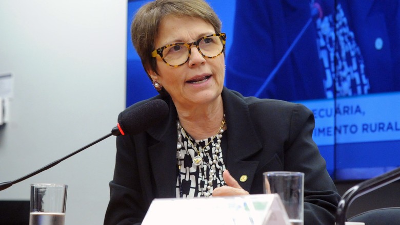 Ministra da Agricultura volta atenção para comércio exterior