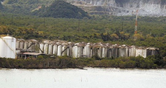 Especialistas preveem alta concorrência em leilões