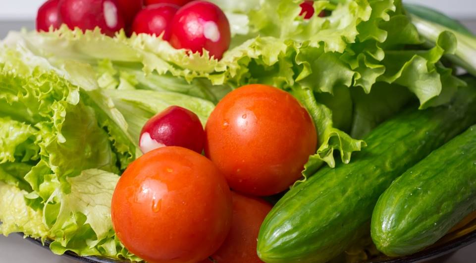 Brasil e Chile oficializam neste mês sistema comum de certificação de produtos orgânicos