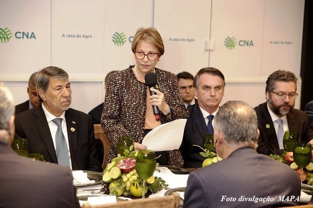 Ministra aposta na intensificação das relações comerciais do Brasil com o mundo islâmico