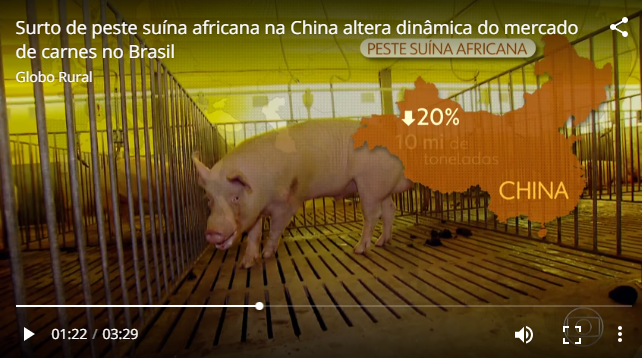 Surto de peste suína africana na China altera dinâmica do mercado de carnes no Brasil