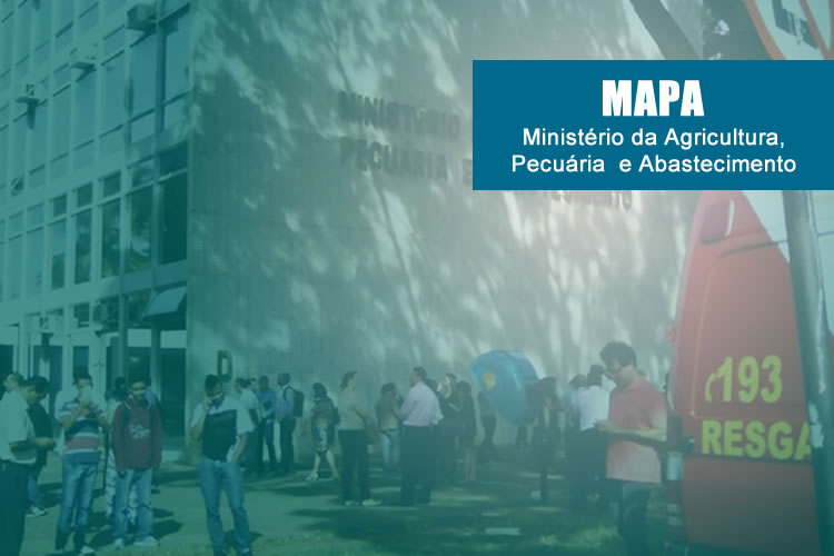 Workshop visa esclarecer adequações de instalações aduaneiras a exigências do Vigiagro