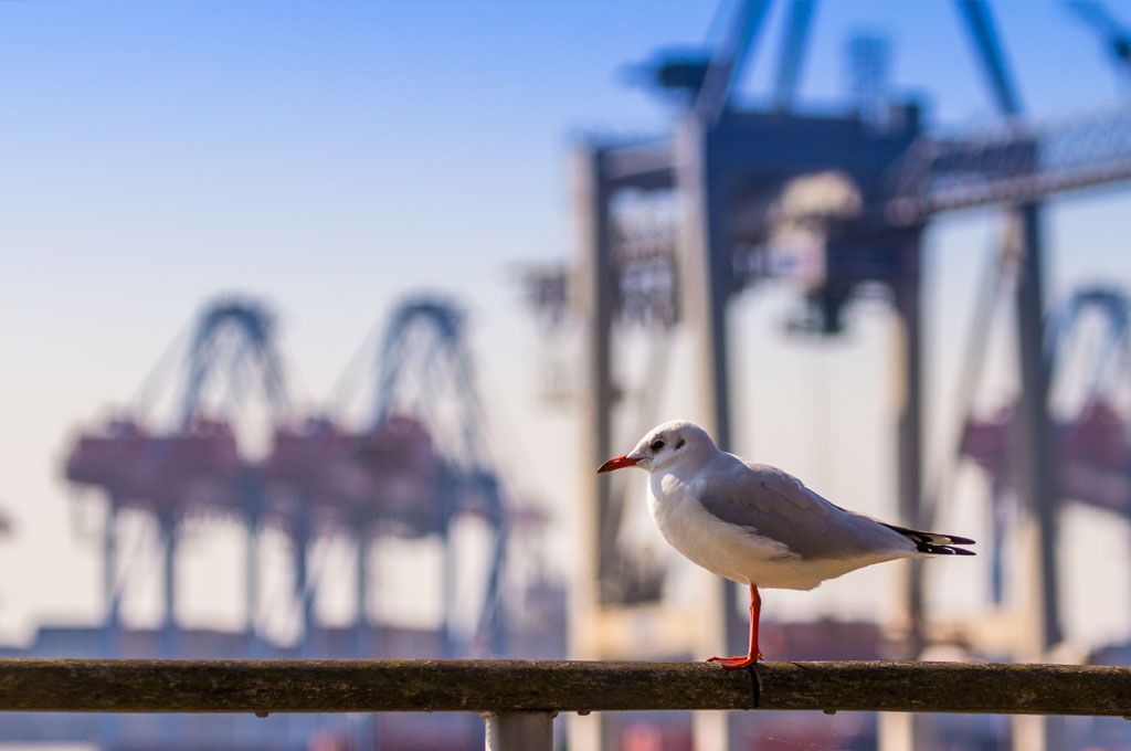 Portos do Açu, Imbituba e Itapoá concorrem ao Prêmio Portos e Navios de Responsabilidade Sociambiental