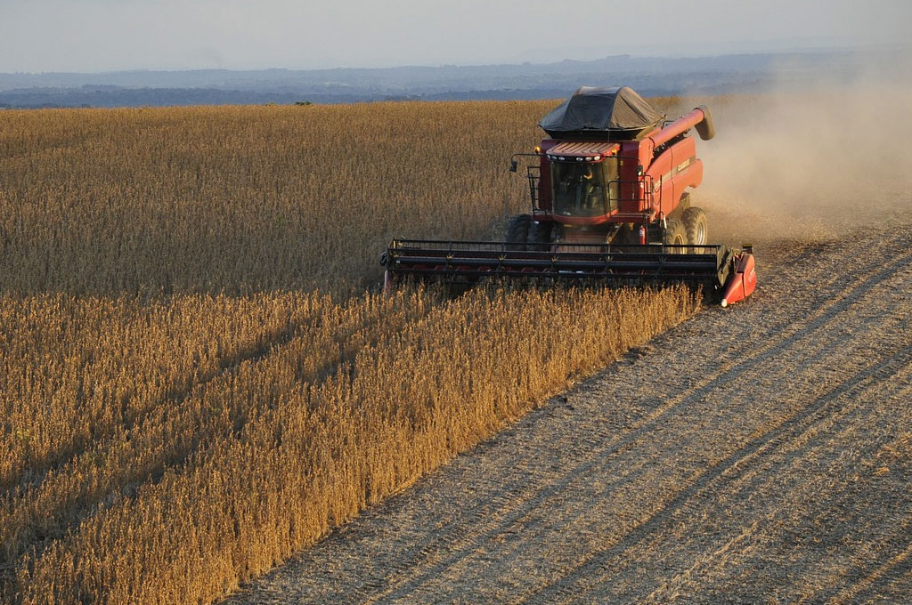 Balança comercial do agronegócio deste ano não repete o recorde de 2018