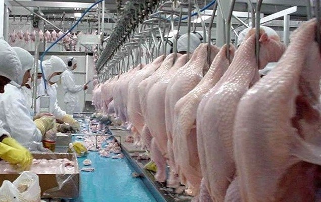 Exportações de carne suína crescem 44,3% em abril; no quadrimestre a alta é de 10,29%