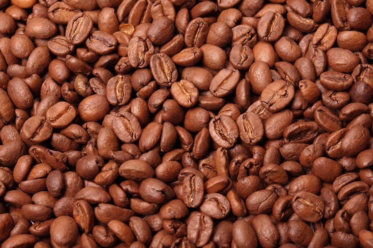 Audiência pública debate preço mínimo do café