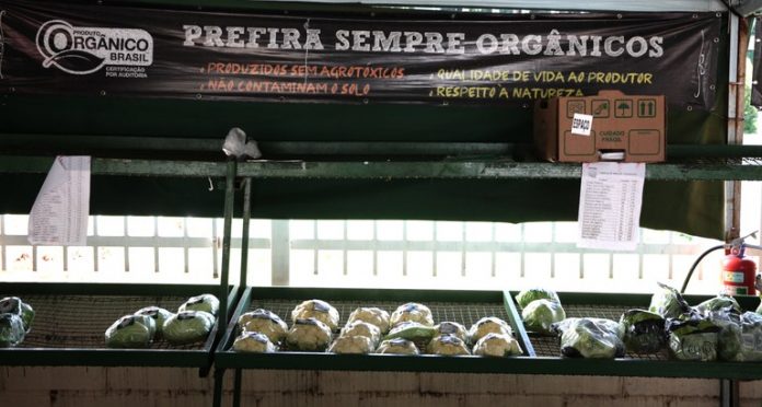 Campanha nacional vai informar população sobre melhores formas de identificar os orgânicos em feiras e mercados