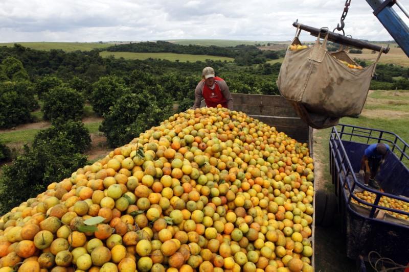 Exportações brasileiras de suco de laranja continuam em queda
