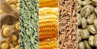 Commodities Agrícolas