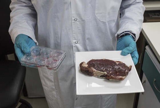 Nos laboratórios, a carne do futuro está quase no ponto 