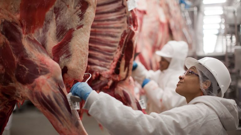 Carnes bovina e de frango e açúcar puxam alta de 20% nas exportações a árabes