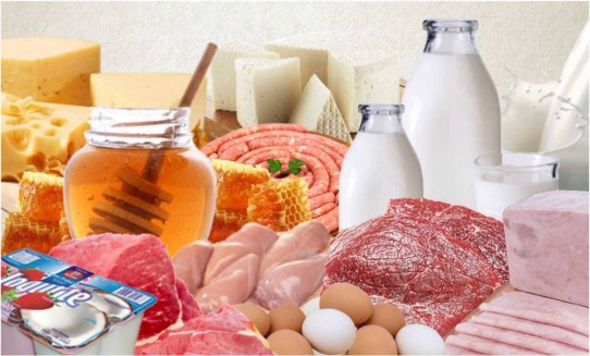 Definidas regras para ingresso de produtos de origem animal no País