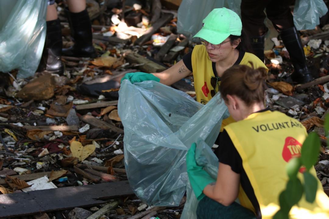 Semana do Meio Ambiente de Santos terá dezenas de atrações gratuitas
