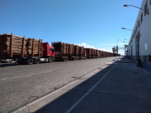 Manganês e eucalipto voltam a ser exportados pelo Porto de Ilhéus