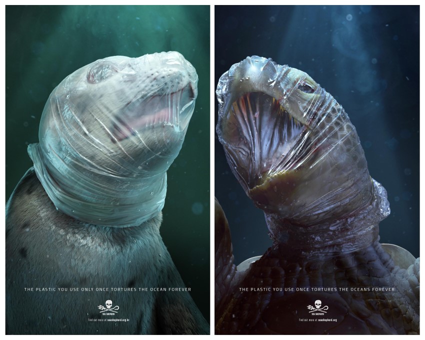 Campanha sobre animais asfixiados com plásticos no mar será exposta em Cannes