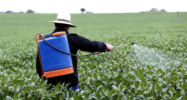 Ministério da Agricultura autoriza uso de mais 42 agrotóxicos 