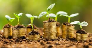 PIB do agronegócio caiu 0,11% no 1º trimestre, apontam Cepea e CNA 