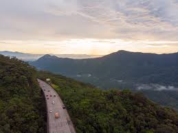 ARTESP e concessionárias de rodovias atuam na preservação do meio ambiente