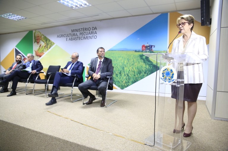Ministra se reúne com Câmaras Setoriais e Temáticas para debater as prioridades de cada área